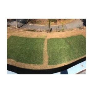 Less Expensive Better Price Turf Dye Paint Pigment Than Endurant Premium.