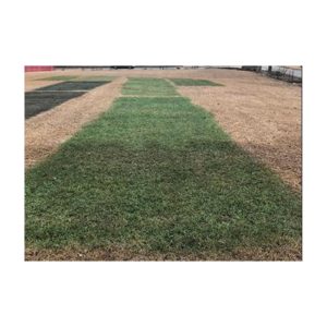 Low Cost Less Expensive Lower Price Than Endurant Premium