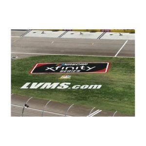 Nascar Grass Infield Painting.