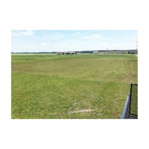 Painting Coporate Logo On Grass