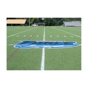Team Logo Painted Removable Paint On Synthetic Turf With Custom Logo Stencil.