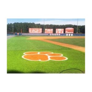 Make old synthetic turf bright and new.