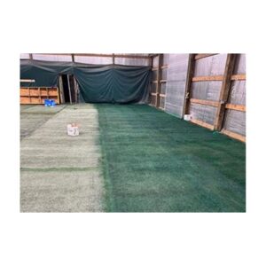 Painting over sewed in white lines on used turf using permanent aerosol paint cover up green.