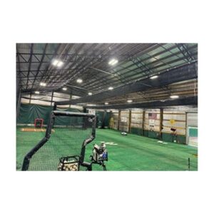 Green Paint To Permanently Fix Renew Recolor Refresh Old Damaged Synthetic Turf