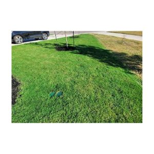 Pigment Grass Color Equal In Performance To Endurant Premium Colorant