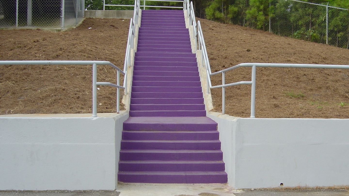 Purple Painted Stairs With Railings
