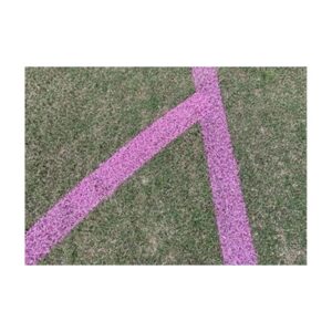 Best paint at the best price directly from manufacturer for turf tank robot tiny mobile robots.