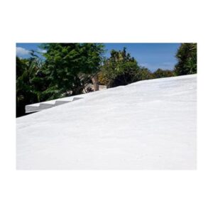 Roof Coating Formulated Not To Pollute Or Contaminate Rain Water