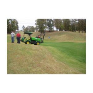 Spray Application Of Green Turf Dye Paint On Golf Course Putting Green.