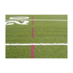 Temporary lacrosse lines on synthetic field turf.