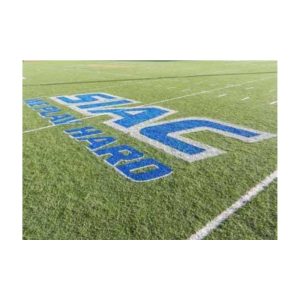 Temporary painted logo on synthetic turf that can be removed later.
