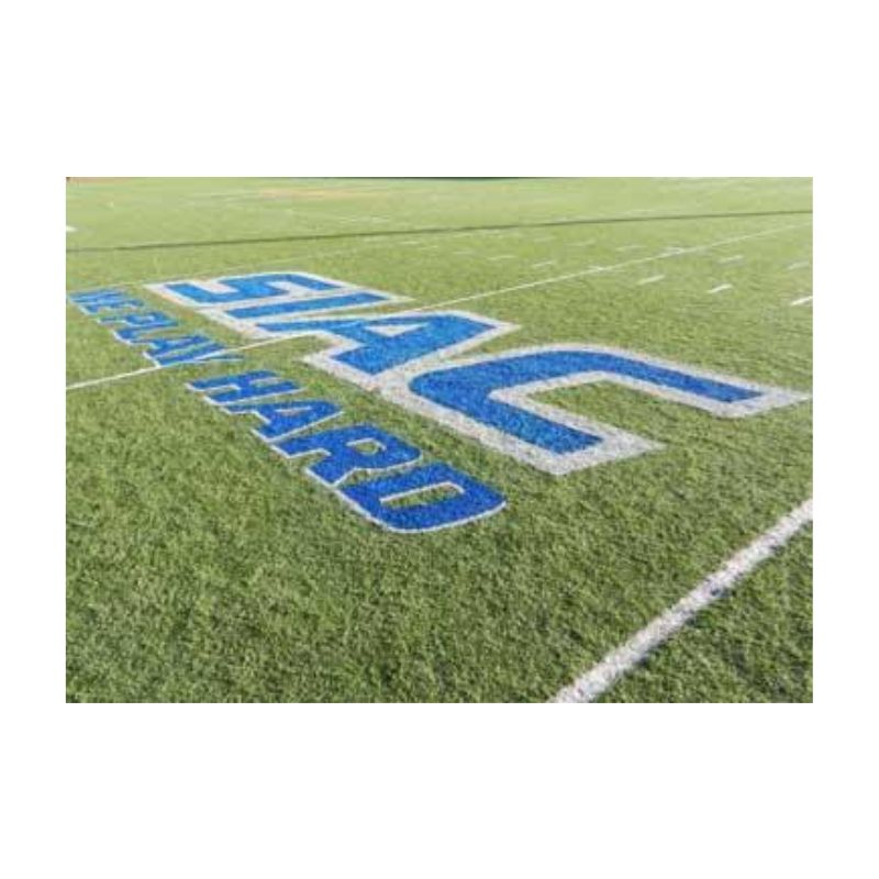 Temporary painted logo on synthetic turf that can be removed later.