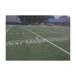 Stencil outline of removable before paint and colors are filled in.