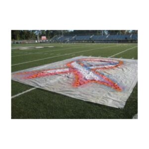 Paint removable logos synthetic field turf football midfield.
