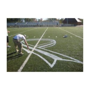 Removable paint airless spray machine graco.