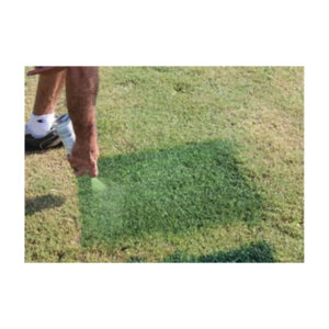 Green Grass Dye Turf Aerosol Can Paint To Color Dead Brown Grass Pet Pee Spots.