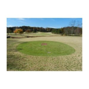 Green Turf Dye Colorant Pink Ribbon Stencil Paint Cancer Awareness Painted Women T Box Golf Course.