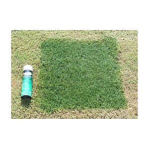 Aerosol Green Yard Grass Lawn Pee Spots Brown Spots Cover Up Paint.