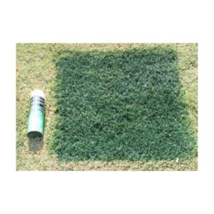 Cover Up Green For Natural Grass Synthetic Turf Yard Lawn Golf Greens.