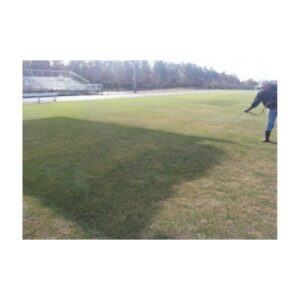 Green Grass Dye Paint To Painting Brown Grass On Football Field To Lush Green.