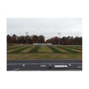 Green Dye To Color Dormant Brown Grass For Football Field.