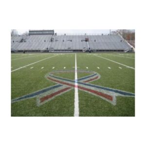 Ribbon Patriotic Red White Blue On Synthetic Turf.
