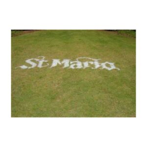 Water Based Aerosol Marking Paint Without Turning Grass Brown