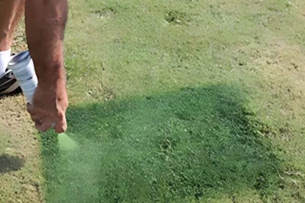 Why Green Grass Paints Are Essential for Enhancing Golf Course Aesthetics: Top Reasons and Benefits