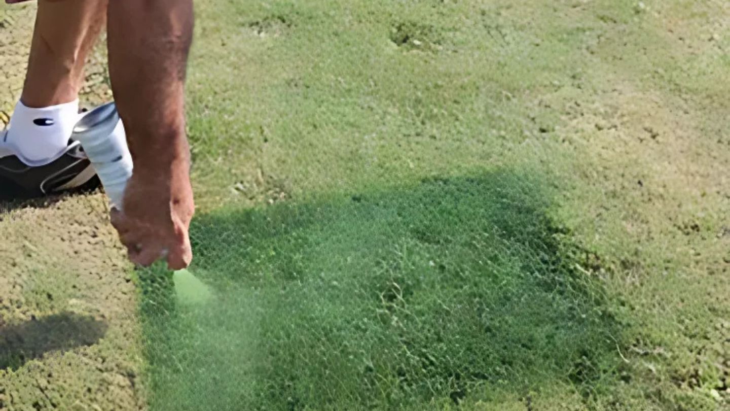 Why Green Grass Paints Are Essential for Enhancing Golf Course Aesthetics: Top Reasons and Benefits